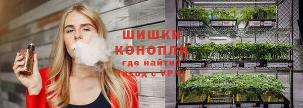 apvp Медногорск
